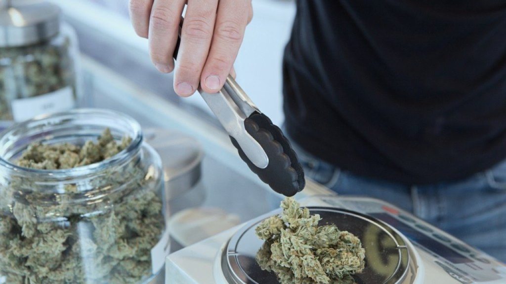 weed measuring